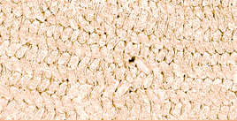 Tooth Brick Pictures Tooth Brick Pictures